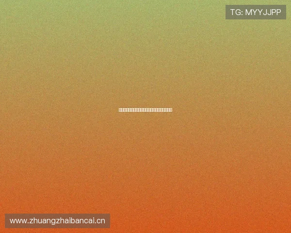 拉齐奥足球赛事直播最新动态分析与精彩瞬间回顾